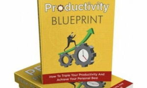 Peak Productivity Blueprint – eBook with Resell Rights